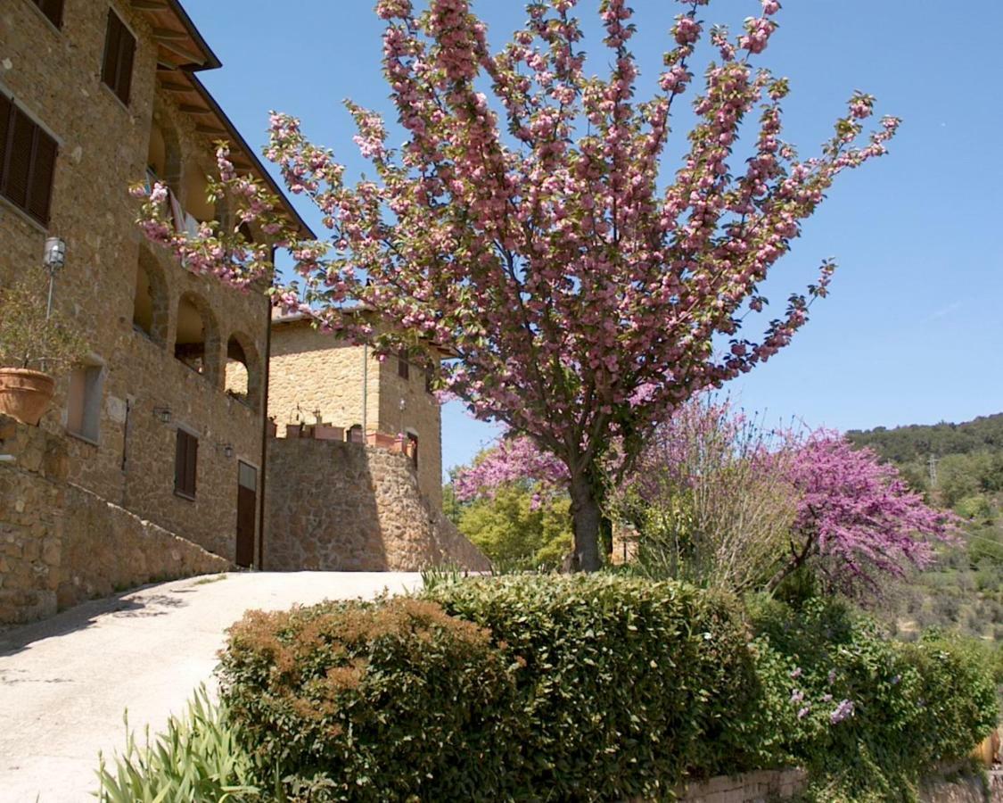 La Chiusa Dei Monaci Castelmuzio Luaran gambar
